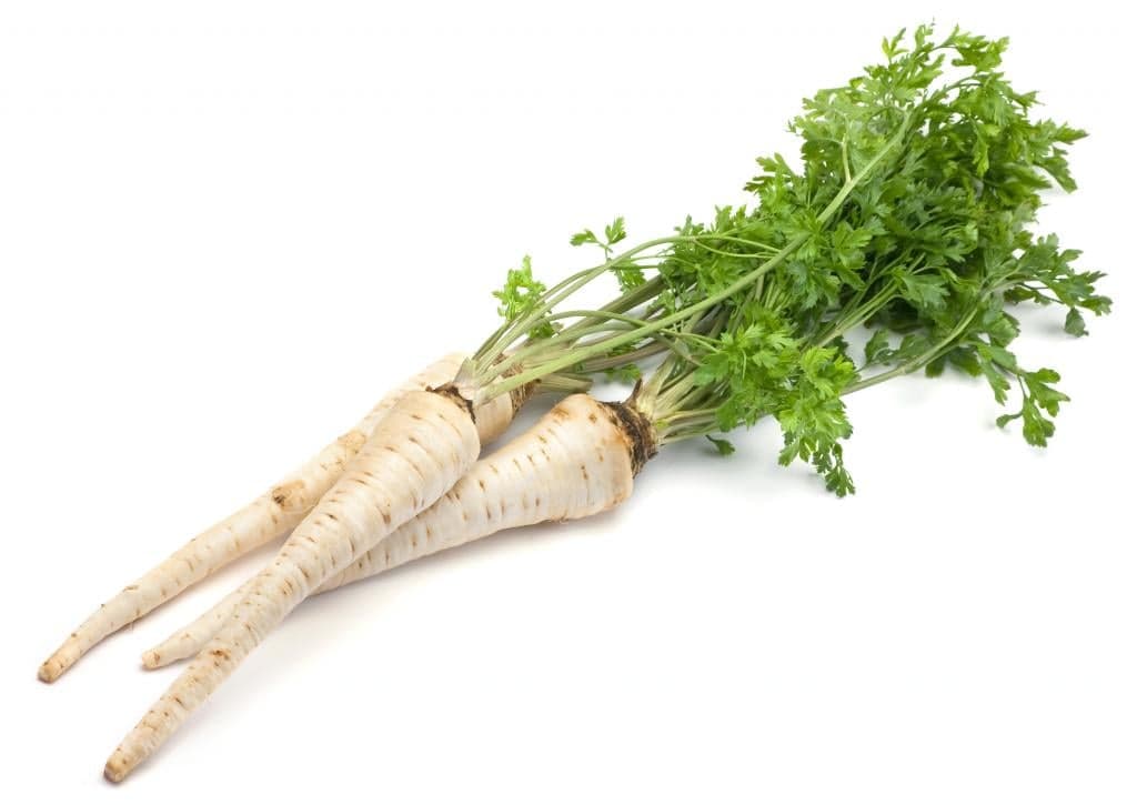 Petržel kořenová s natí, svazek (cca 250 g)