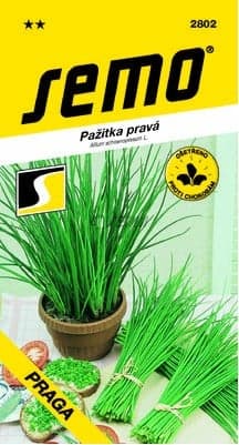 SEMO Pažitka