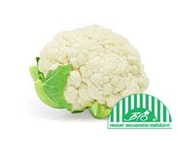 BIO Květák 1 ks (cca 700 g)