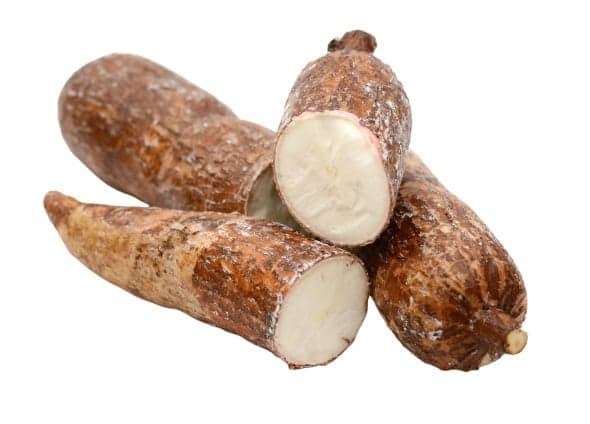 Maniok 1 ks cca 0,51 kg