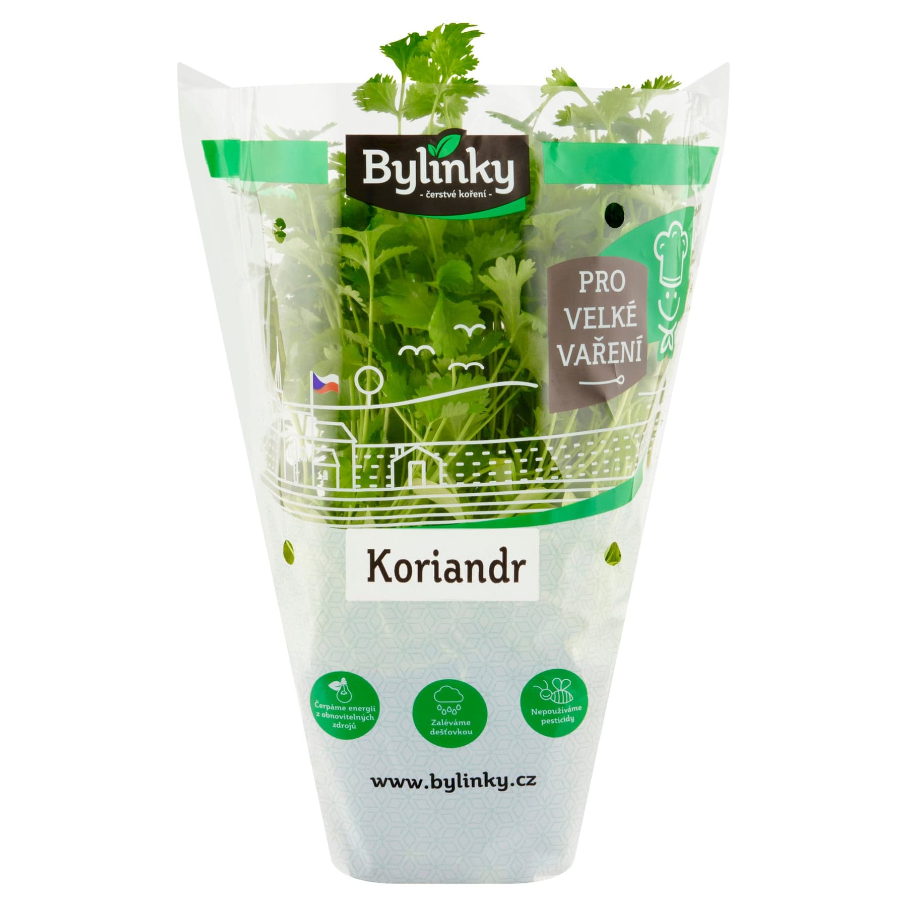 Koriandr v květináči XXL (Pro velké vaření)