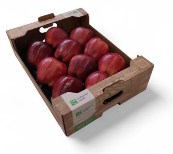 Česká Jablka červená výběrová, karton 3 kg