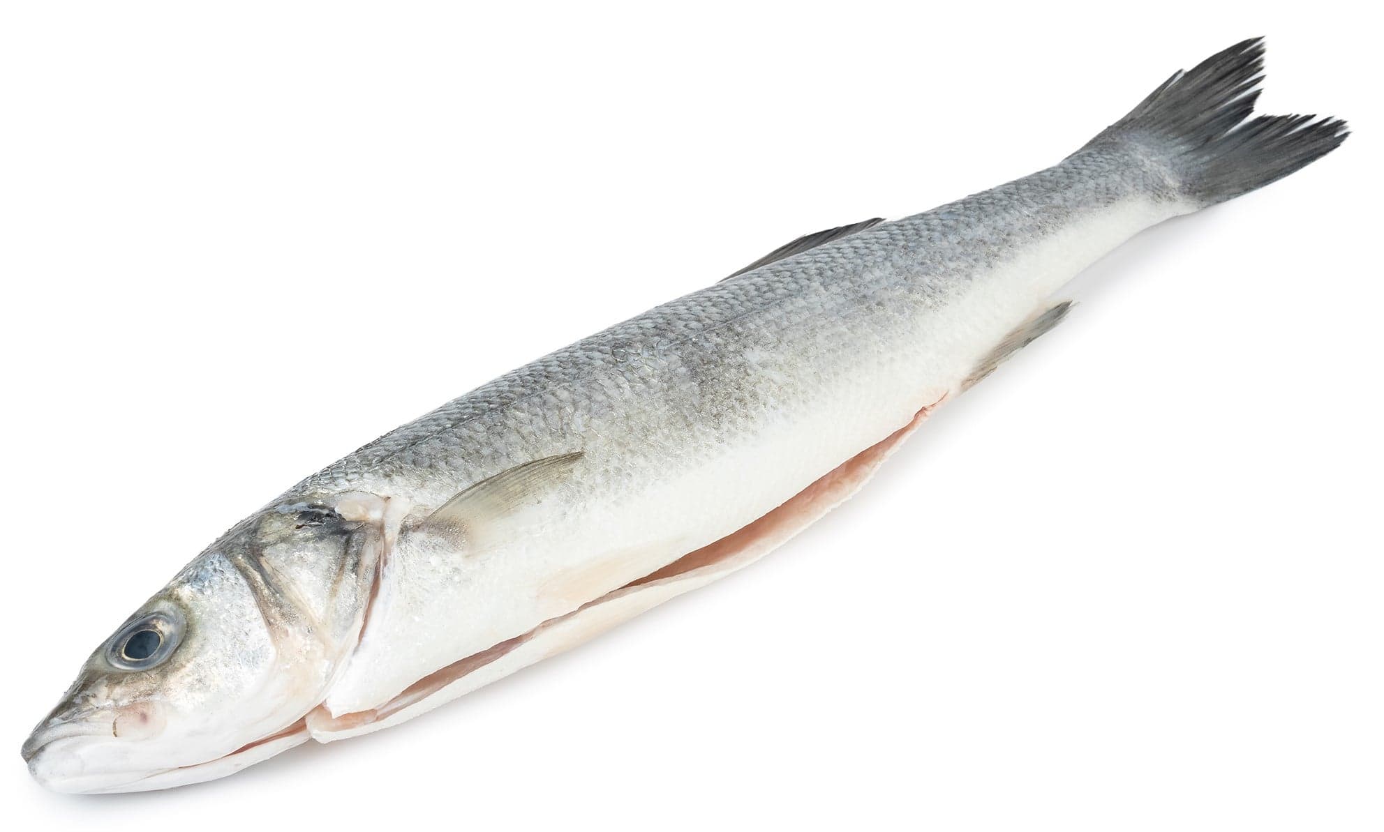 FJORU BIO Mořský vlk kuchaný