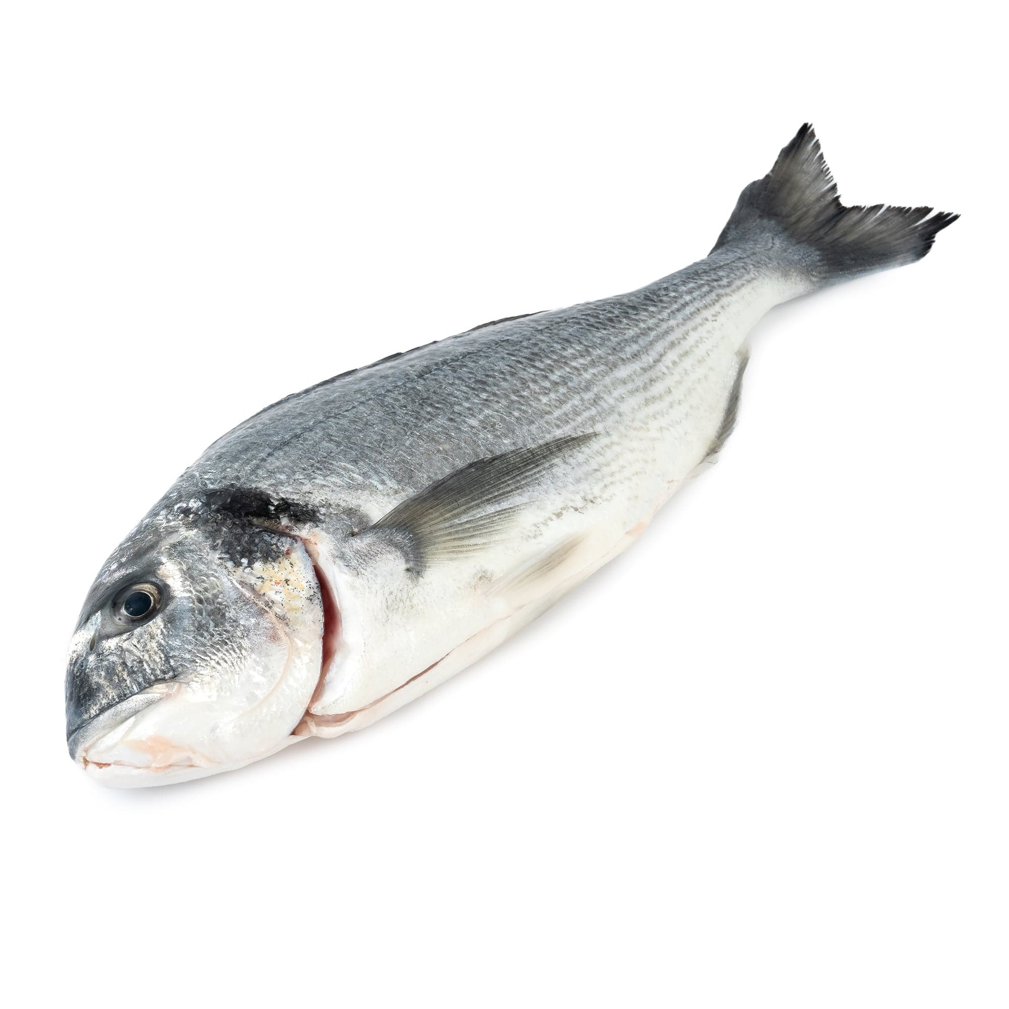 FJORU BIO Pražma královská kuchaná