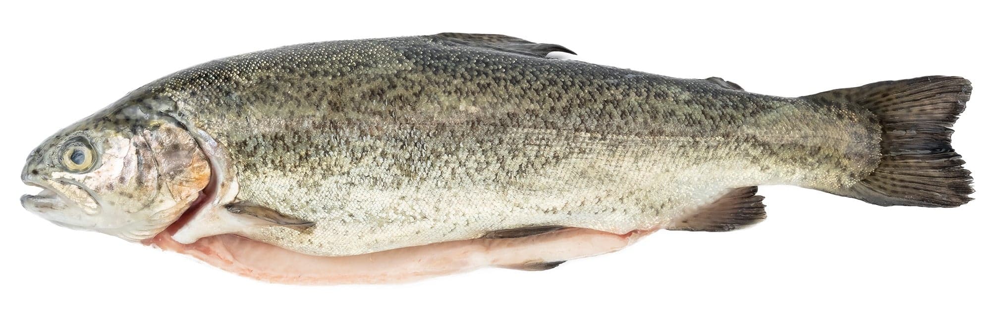 FJORU BIO Pstruh kuchaný cca 450 g