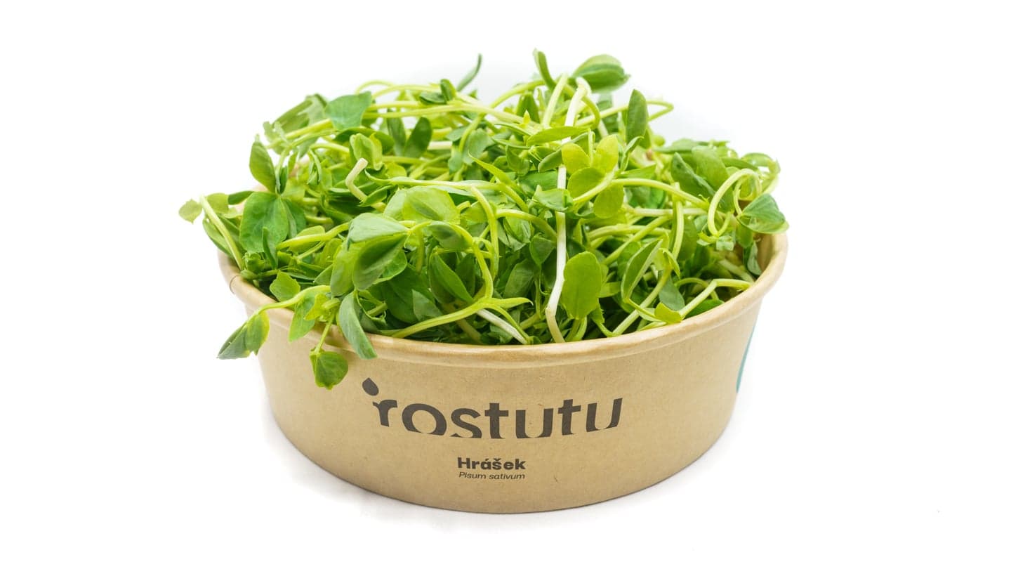 Microgreens hrášek, vanička 30 g