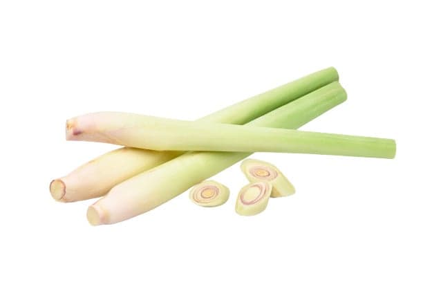 Citronová tráva, volně (cca 100 g)