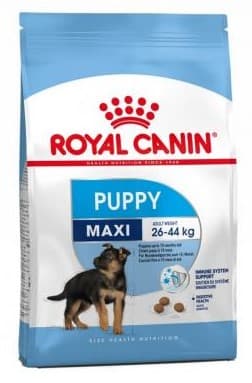 Royal Canin Maxi granule pro štěňata velkých plemen