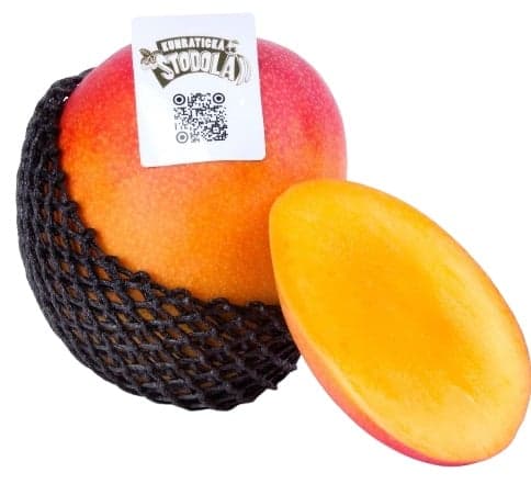 Kunratická stodola – Zralé mango letecky dovážené