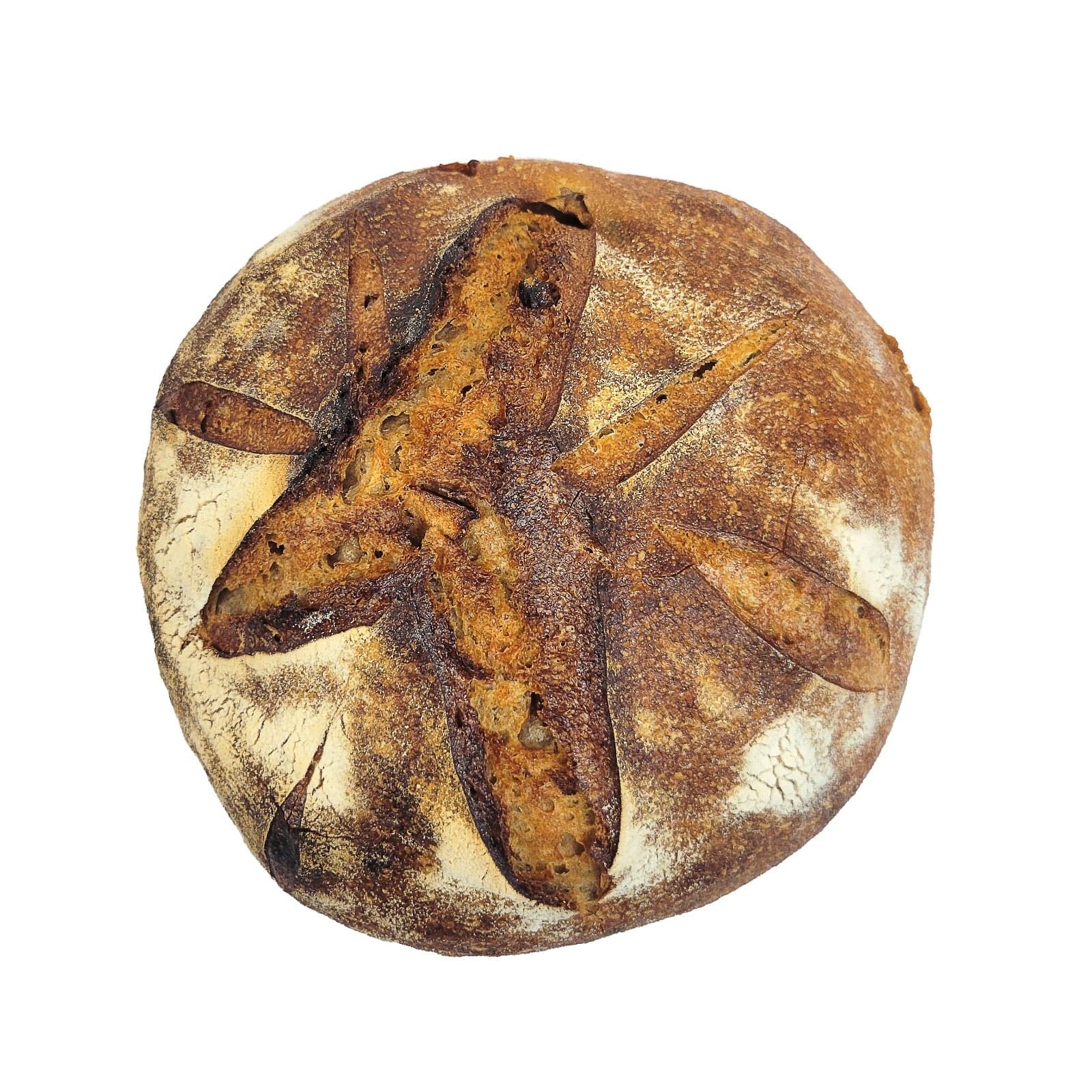 Palmier Bakery Chléb Rustique
