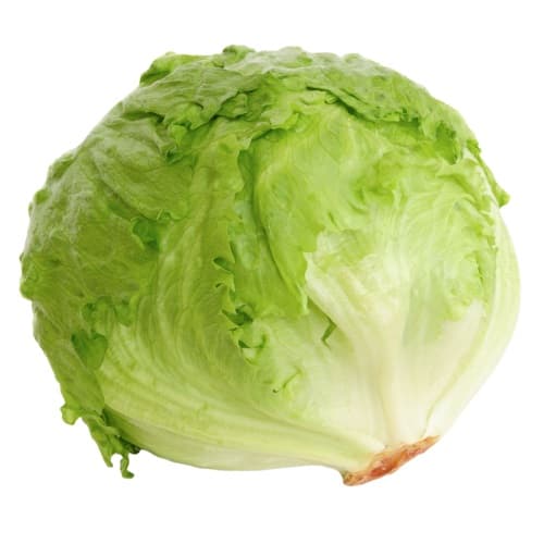 Ledový salát 1 ks 300 g