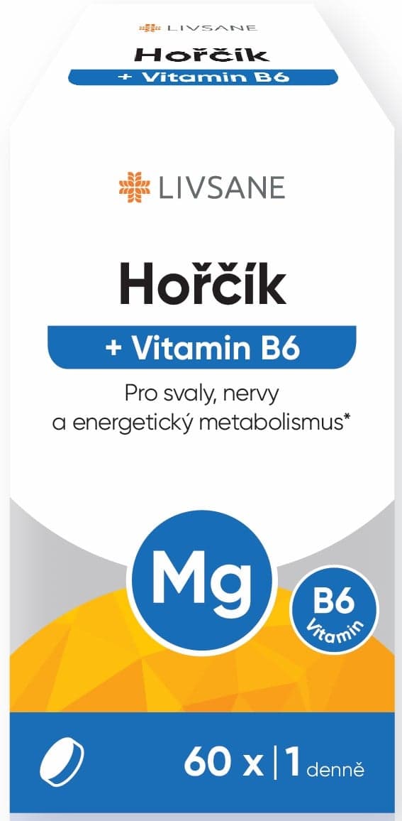 LIVSANE Hořčík + Vitamin B6 tbl.60
