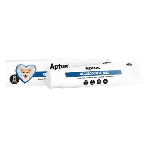 APTUS Recobooster Dog energetická pasta 100g
