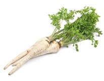 Petržel kořenová 5 kg
