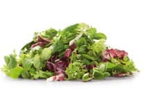 METRO Chef Salát Mista Sfiziosa praný 200 g sáček