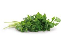 Petržel hladkolistá 1 kg