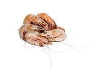 Krevety celé nevařené 20/30 chlaz. 500 g