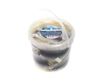 Varmuža Křišťálové sledě (pevný podíl 4 kg) chlaz. 5 kg