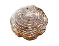 Chléb Krusta kváskový nebalený 680 g