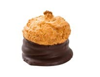 LAHŮDKY Cajthaml Kokoska 3 x 70 g