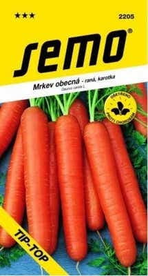 Semo Mrkev obecná raná