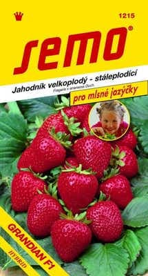 Semo Jahodník velkoplodý - stálepodící - GRANDIAN F1