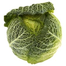 Kapusta