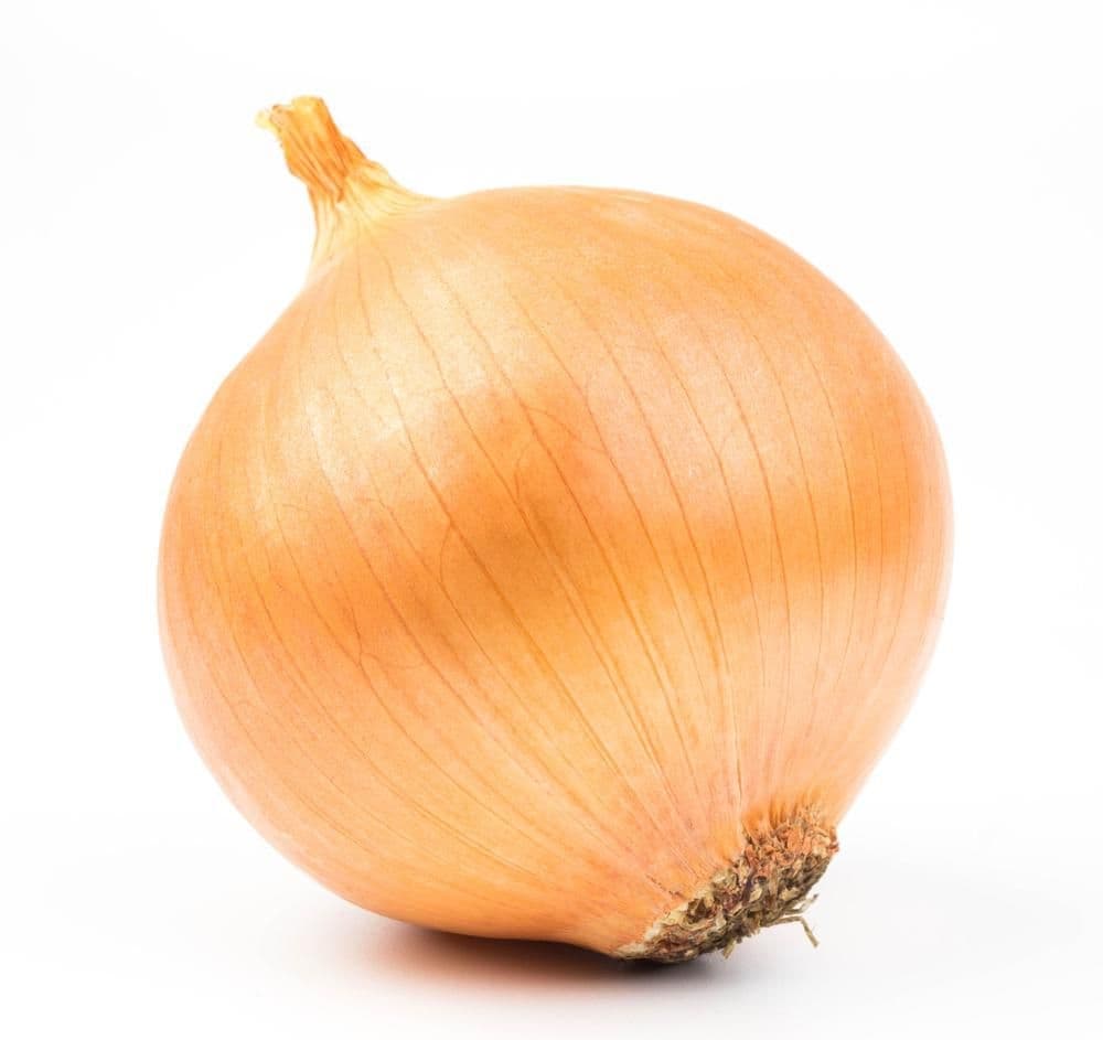 Cibule žlutá