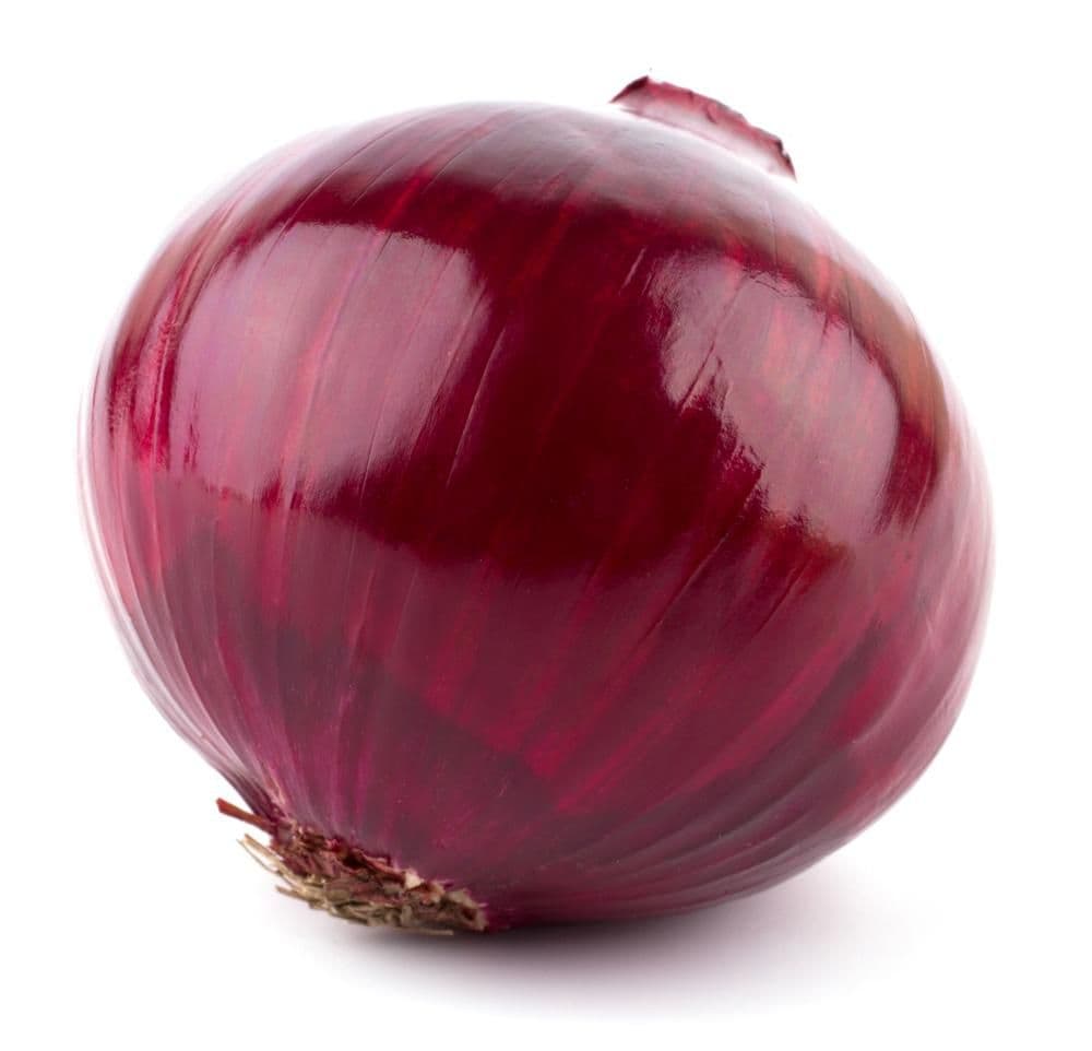 Cibule červená