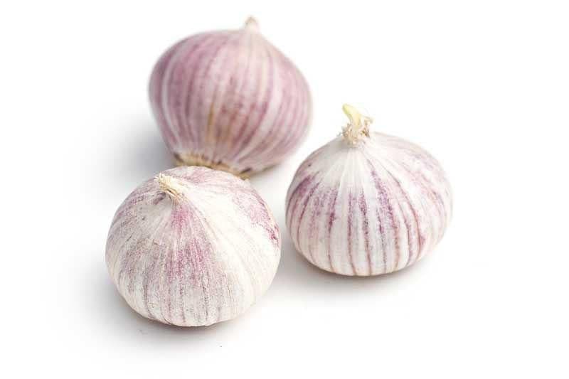 Česnek jednostroužkový 250 g