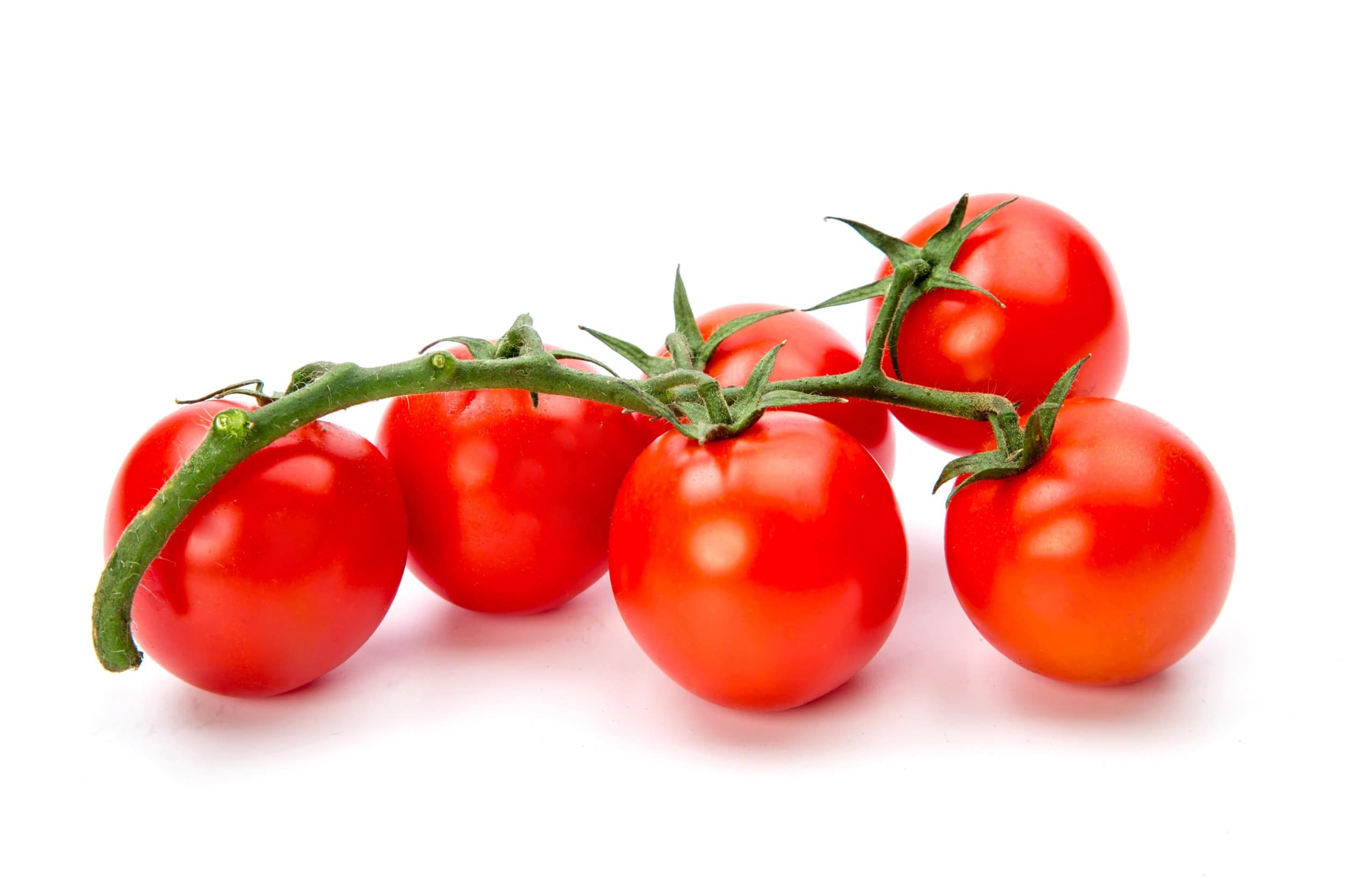 Rajčata cherry červená keříková