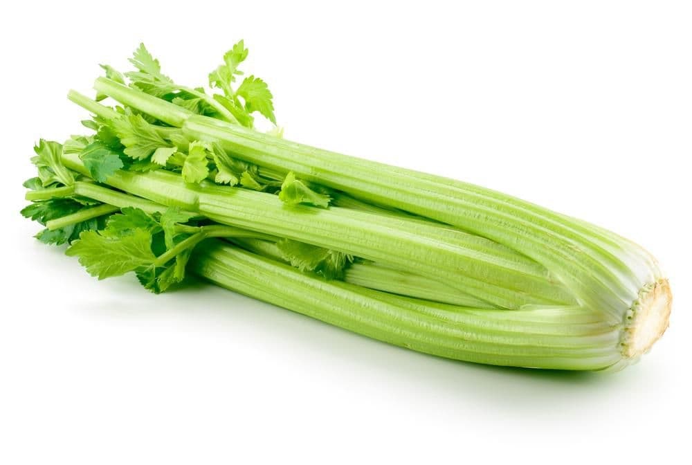 Celer řapíkatý balený 1 ks