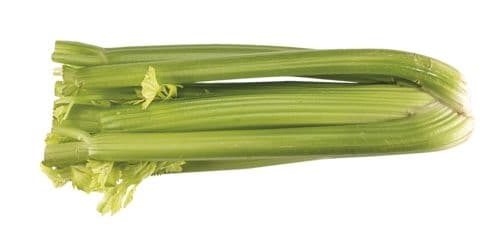 BIO Celer řapíkatý balený 1ks