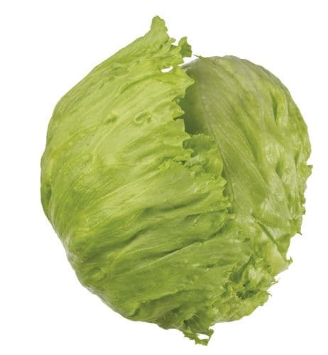 Salát ledový balený 1 ks