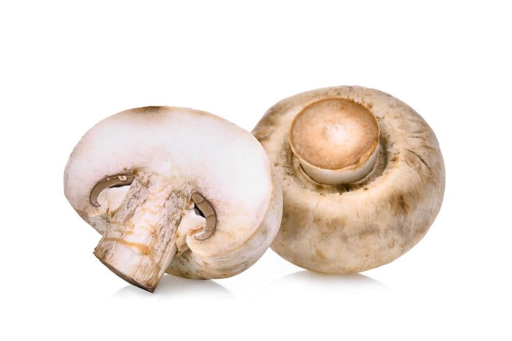 Žampiony krémové 250 g