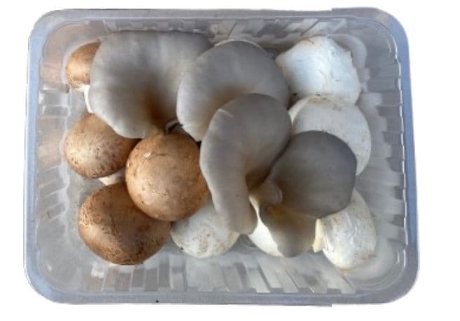 České Houby Houbová směs Trio 350 g