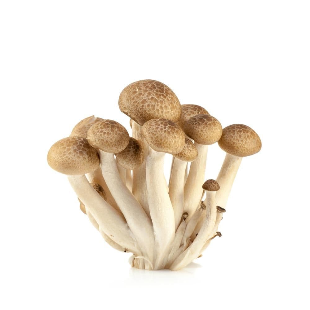 Shimeji hnědé 150 g