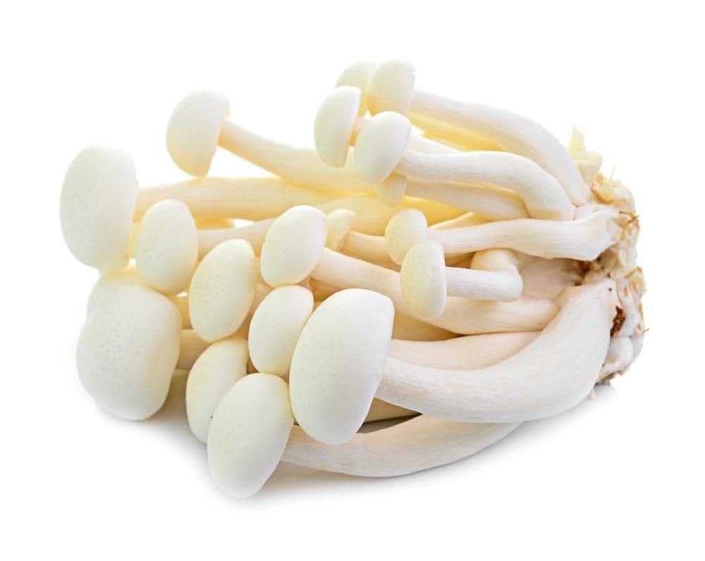 Shimeji bílé 150 g