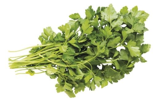 Petržel hladká nať balená 50g