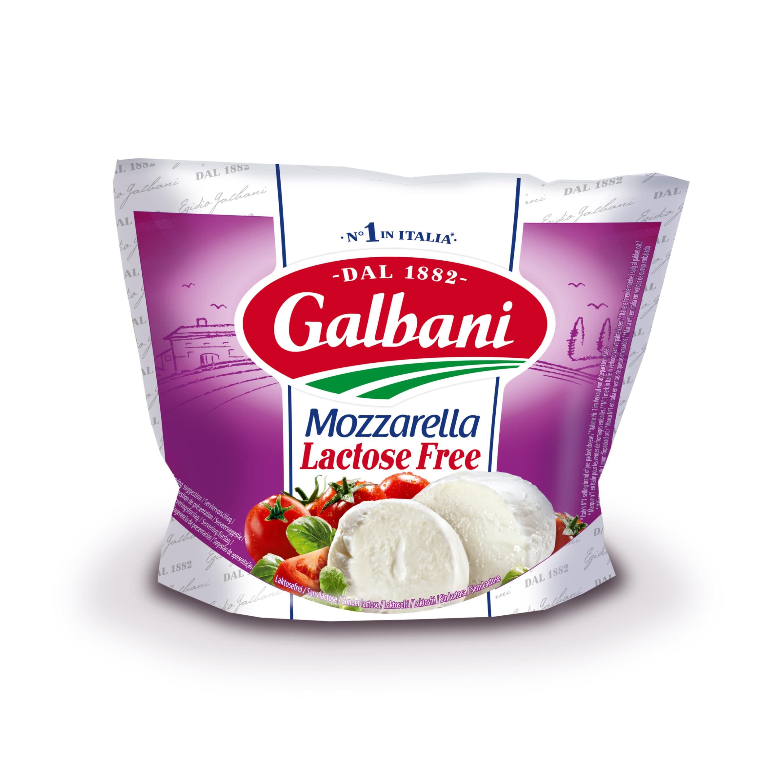 Galbani Mozzarella Lactose Free 100 g