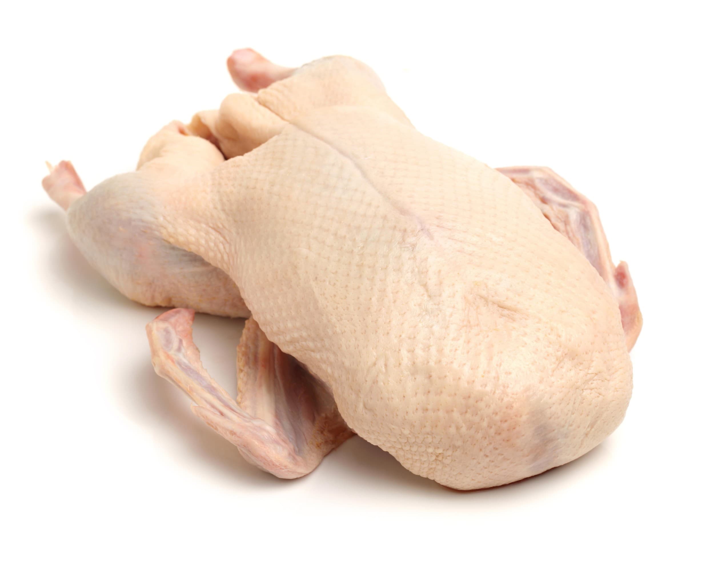 Husa s droby mražená 3,8 kg