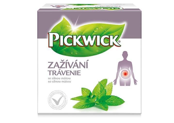 Pickwick Herbalis Zažívání 10x2 g