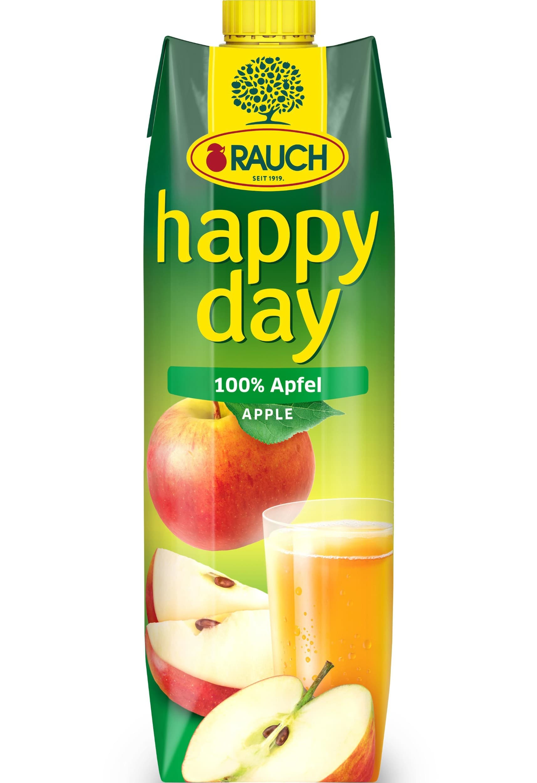 Rauch Happy Day 100% Jablečná šťáva vyrobená z koncentrátu džus 1 l