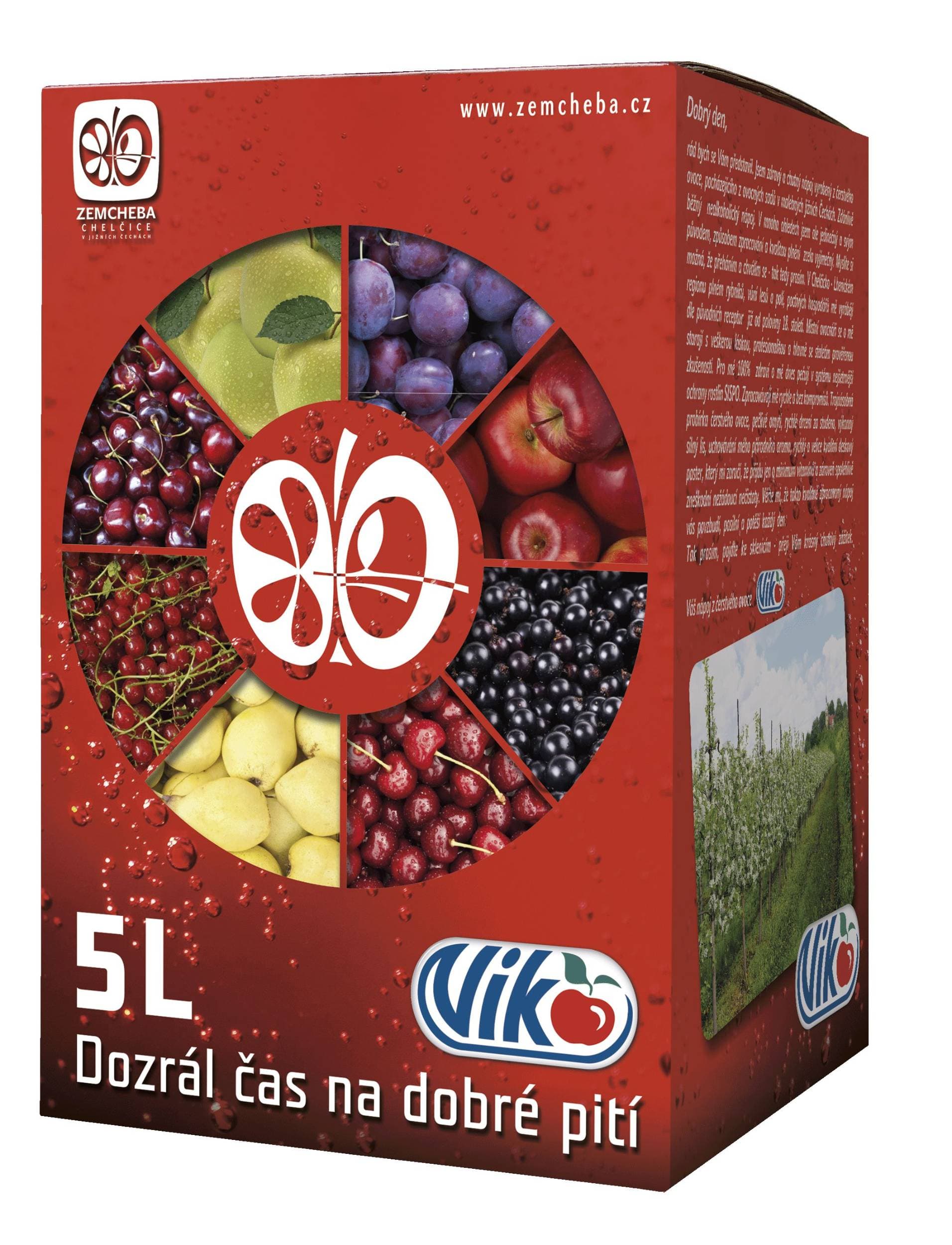 Viko Ovocný nektar meruňka 40% 5l