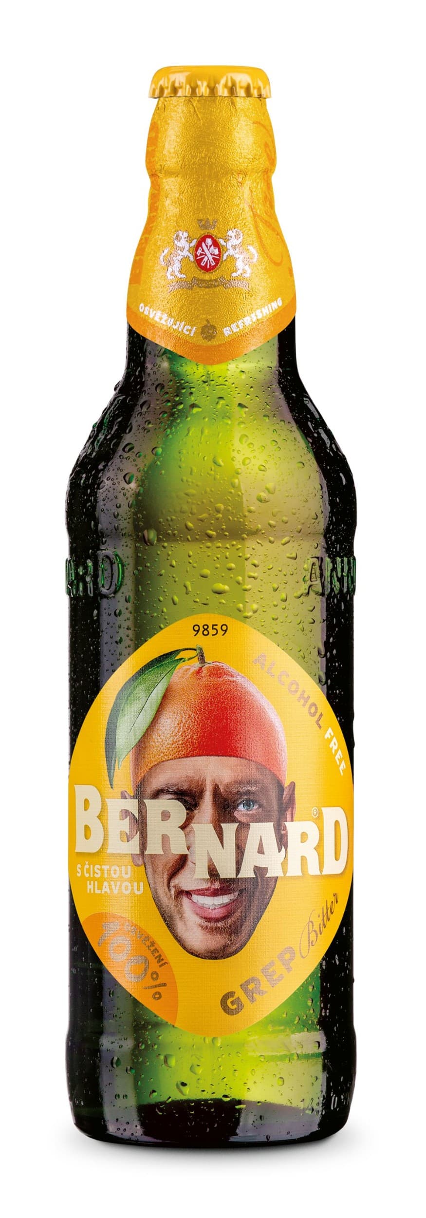 Bernard s čistou hlavou Grep