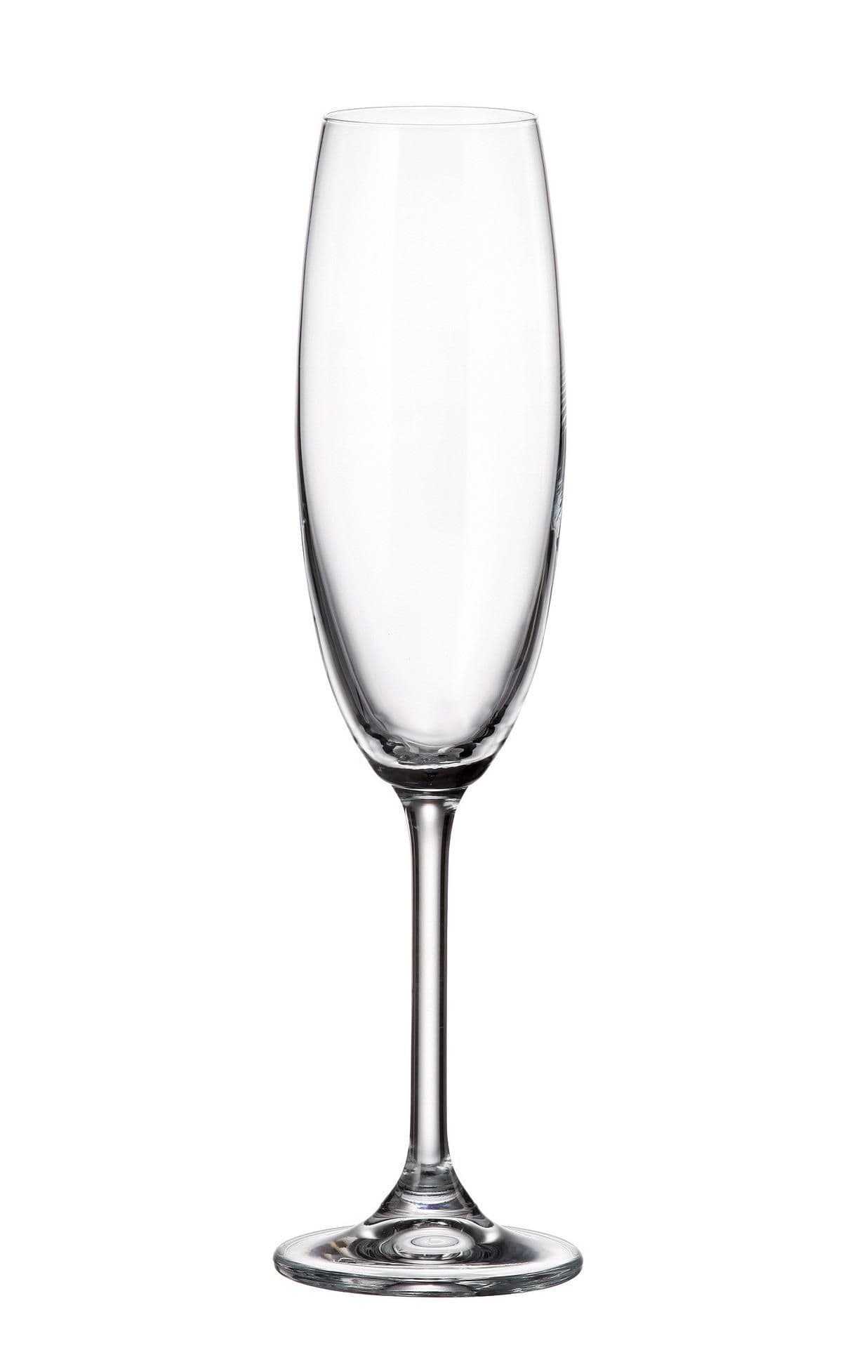 Crystal Bohemia Sklenice na šampaňské Colibri 220ml 6 ks