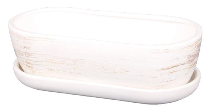 Truhlík KAKTUS O WHITE + podmiska keramický matný 32cm