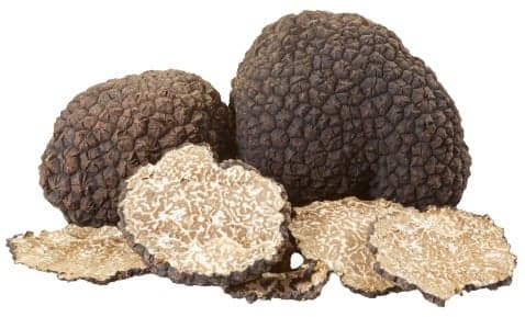 Lanýž letní (lat. Tuber aestivum) cca 10 g