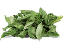 METRO Chef Bazalka čerstvá 500 g