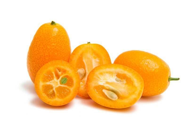 Kumquat volný